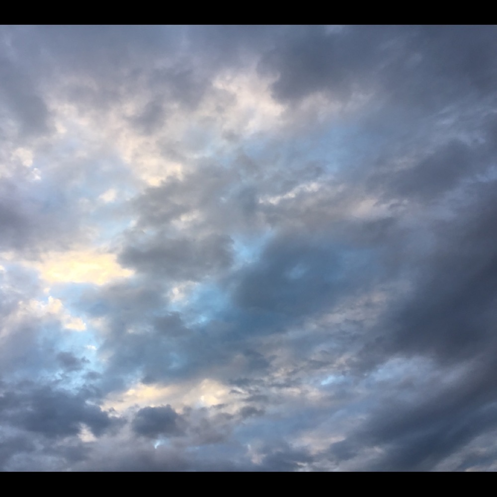 Meet your Posher, Sharon